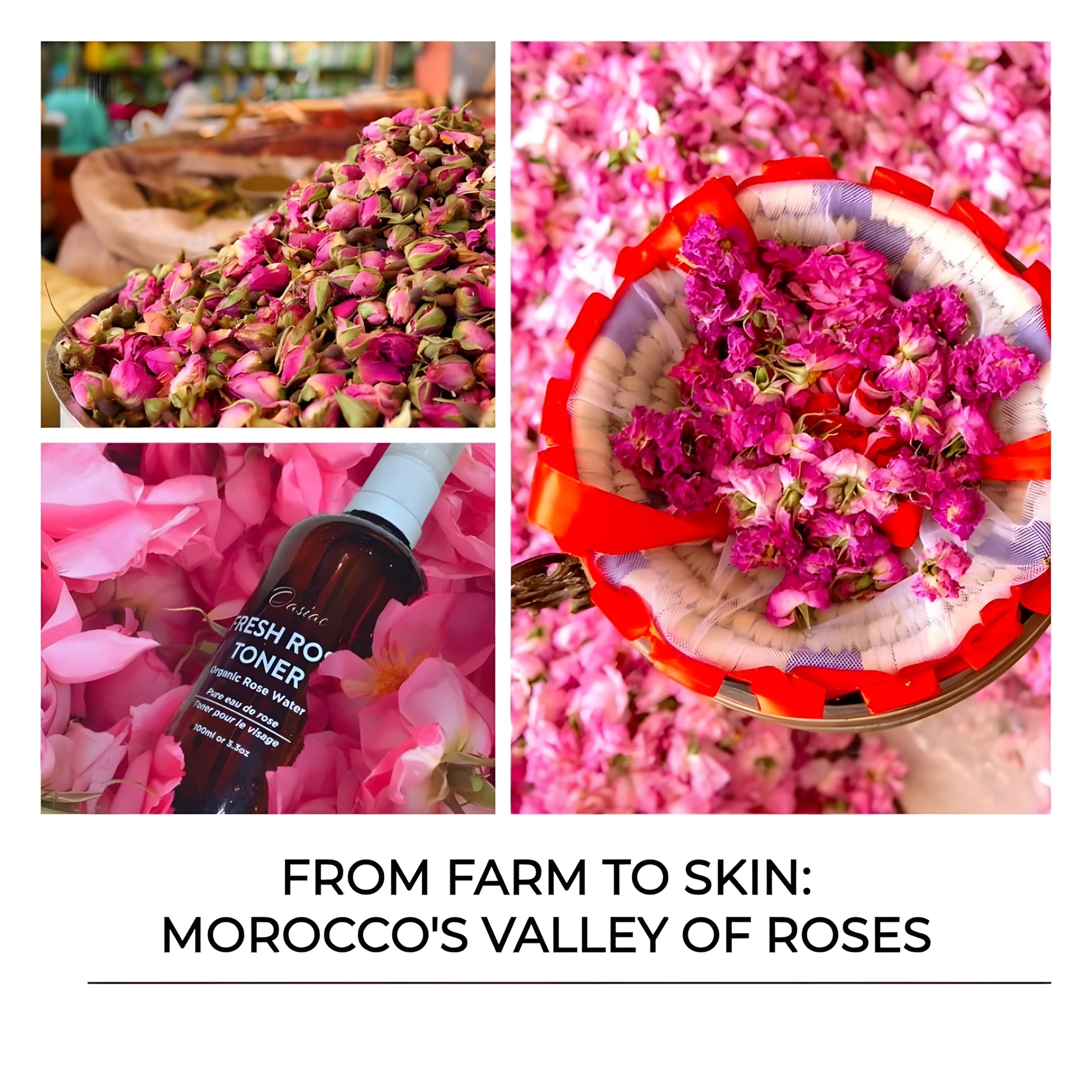 ORGANIC FRESH ROSE TONER