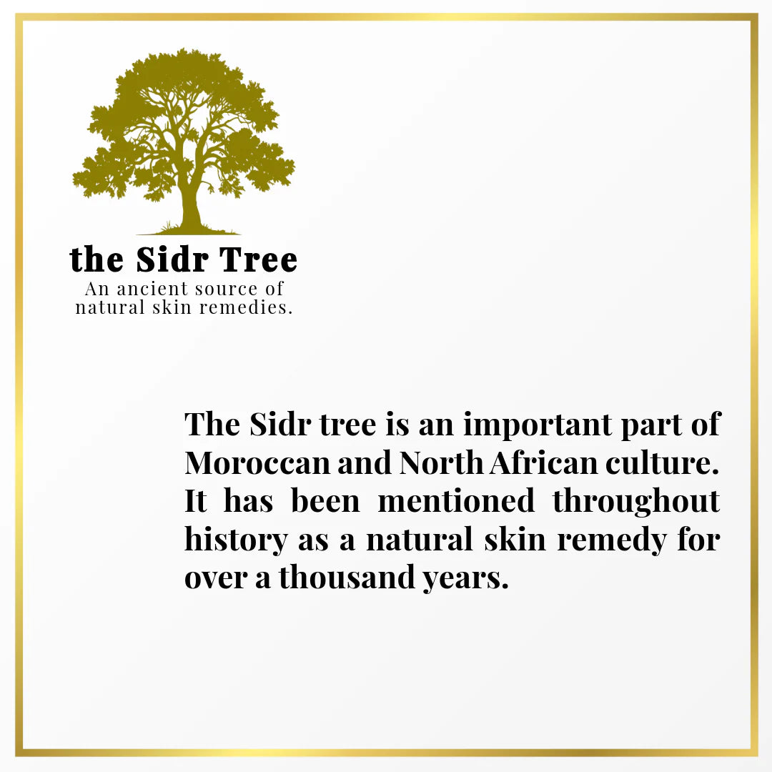 Oasiac sidr tree